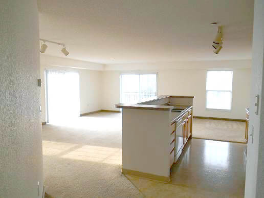 1558 Sq. Ft. Living Room and Kitchen edit