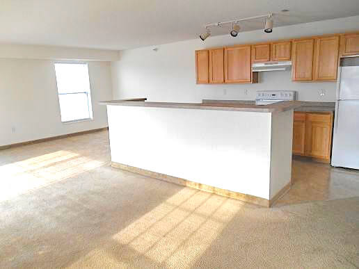 1558_Sq._Ft._Living_Room_and_Kitchen__2__1 falcon heights living room