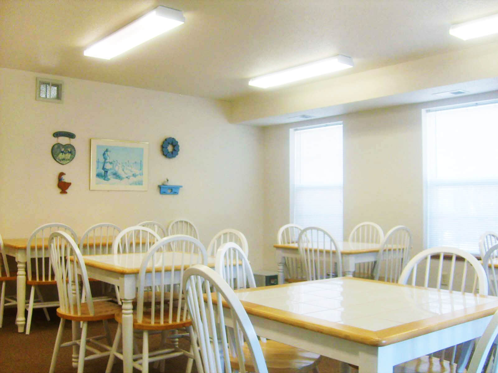 LeSueurMeadowscommunityroom1_edit le sueur meadows dining area