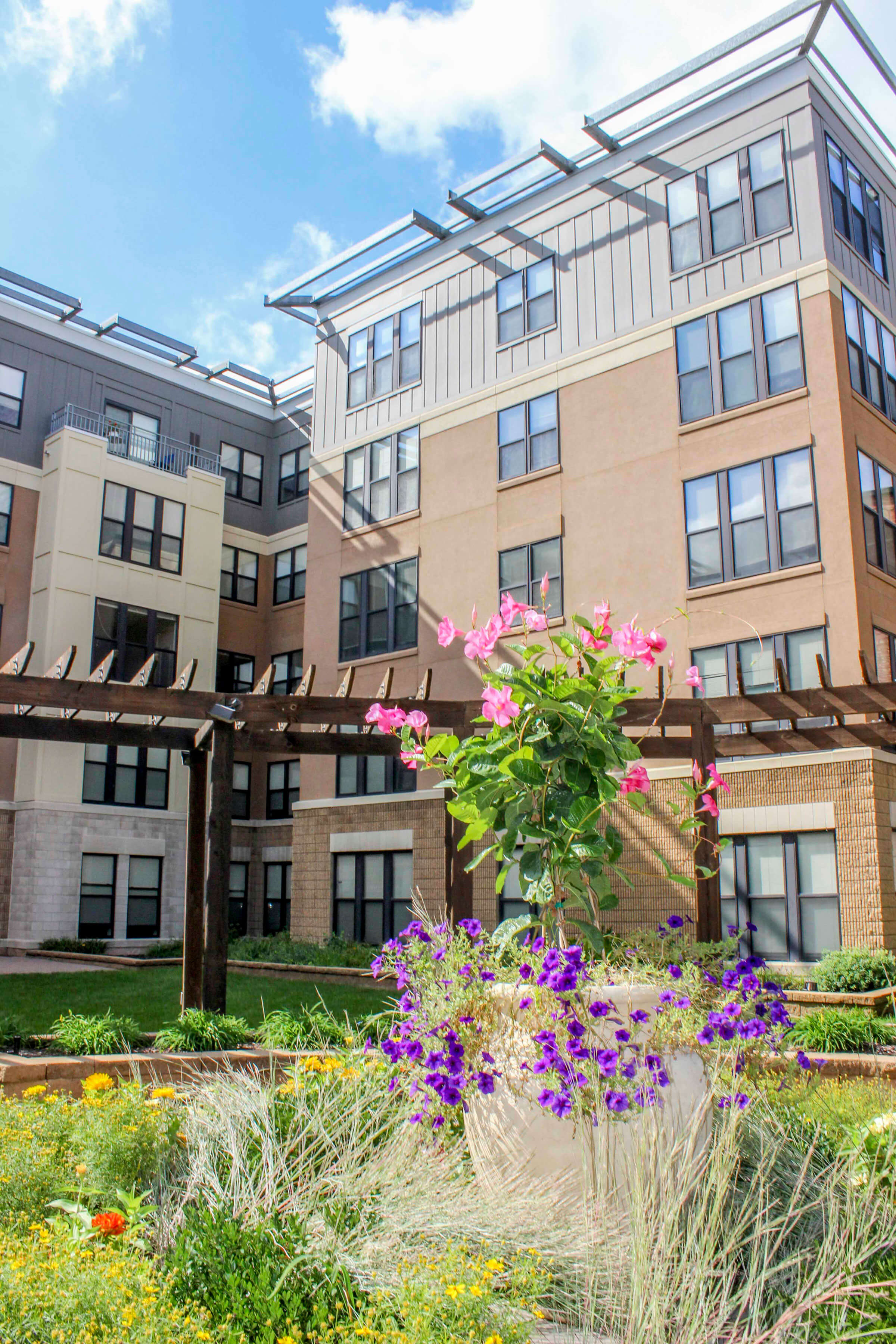 vine street lofts garden area