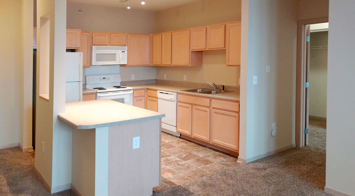 vines_5 vine street lofts kitchen full view