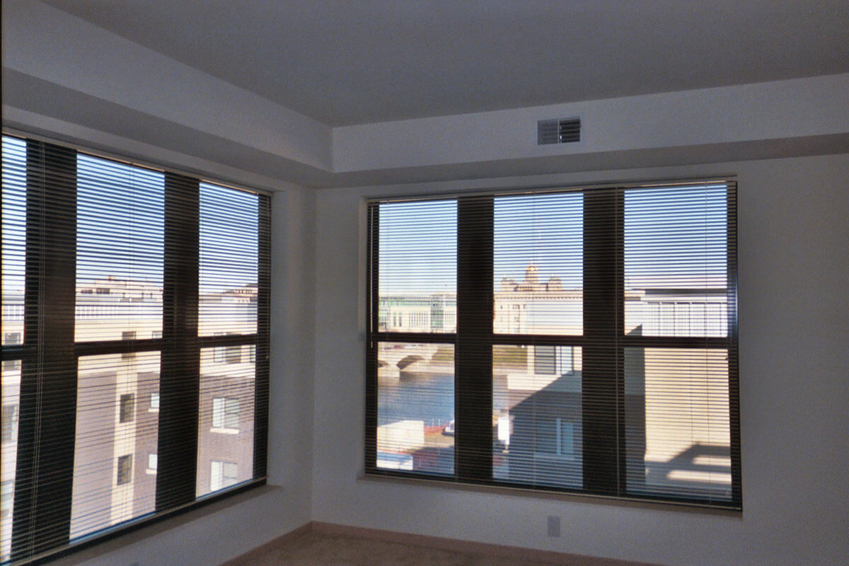vines_9 vine street lofts windows